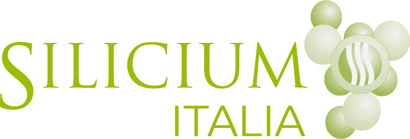 Silicium Italia